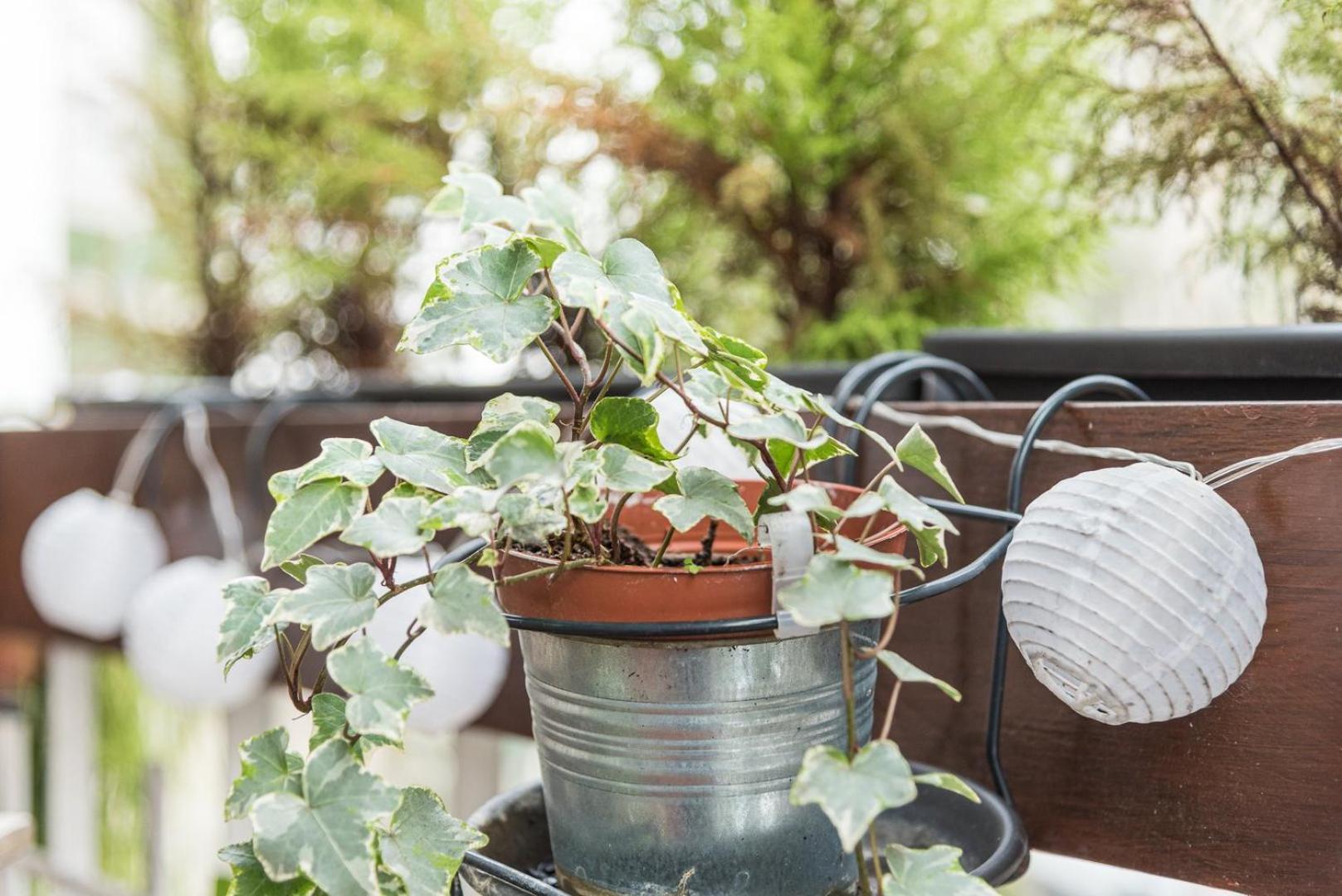 Guestready - The Hackberry Lägenhet OOporto Exteriör bild
